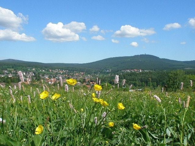 Harzpension Haus Koenigskopf Braunlage Dış mekan fotoğraf